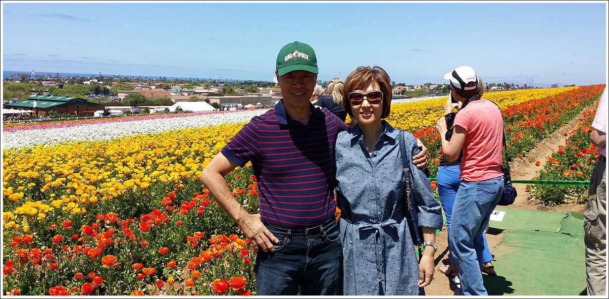 Flower Fields