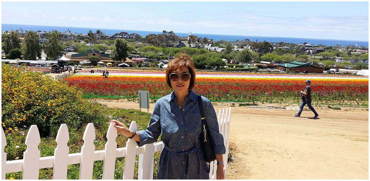 Flower Fields