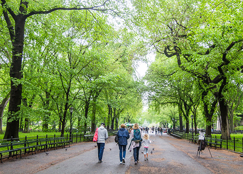 Cental Park